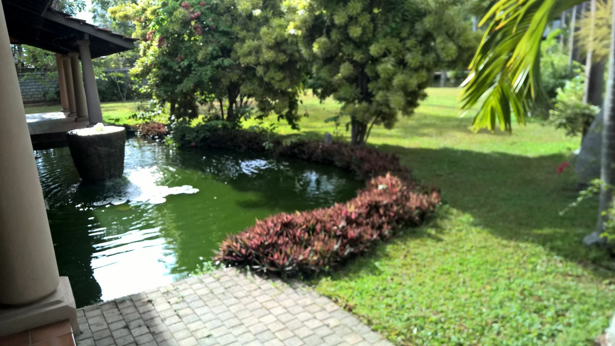 Tropical Villas Negombo Zewnętrze zdjęcie