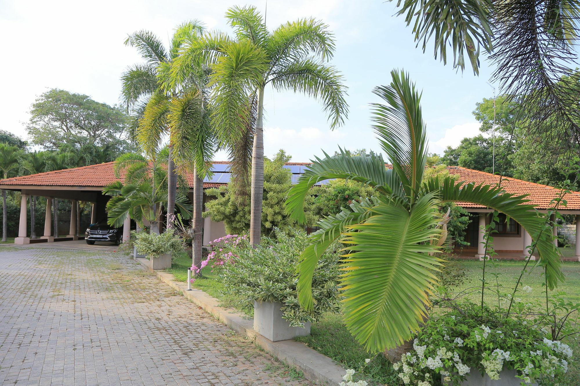 Tropical Villas Negombo Zewnętrze zdjęcie