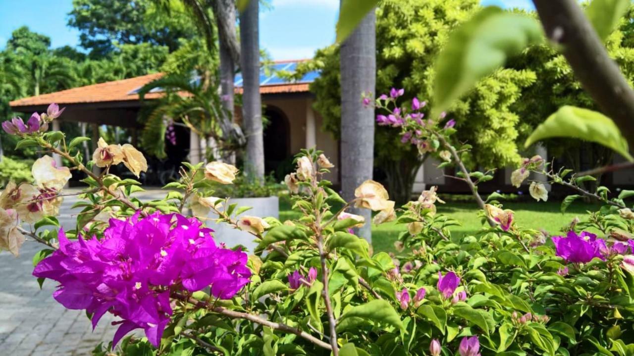 Tropical Villas Negombo Zewnętrze zdjęcie