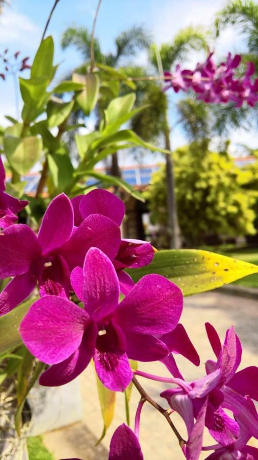 Tropical Villas Negombo Zewnętrze zdjęcie